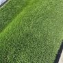 Brand new 40MM artificial grass all sizes available Image 2