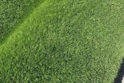 Brand new 40MM artificial grass