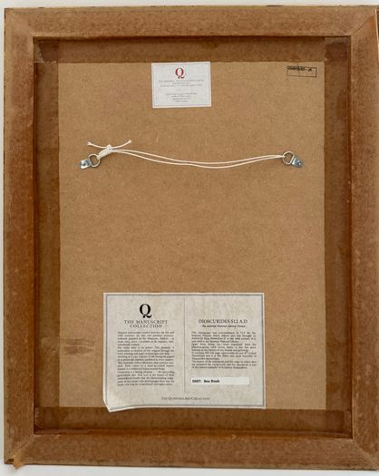 Framed Quintessa Art Print - "Sea Rush" 512 A.D. Vienna Dioscurides Manuscript