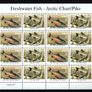 2001 Ireland Freshwater Fish (Perch, Arctic Charr, Pike & Bream) Stamp Sheetlet Plate 1B1B1B1B Mint Never Hinged (MNH) Image 3