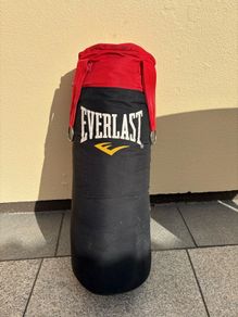 Everlast punching bag