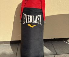 Everlast punching bag