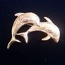 dolphin brooch Image 2
