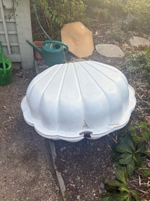 Large seashell prop