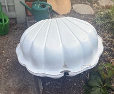 Large seashell prop