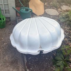 Large seashell prop