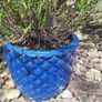 Heather Plant in Decorative Blue Pineapple Texture Pot Image 3
