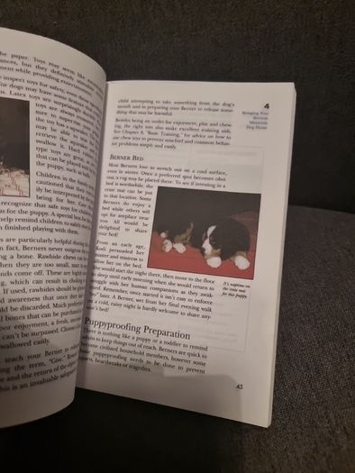Bernese Mountain Dog : An Owner's Guide to a Happy Healthy Pe
