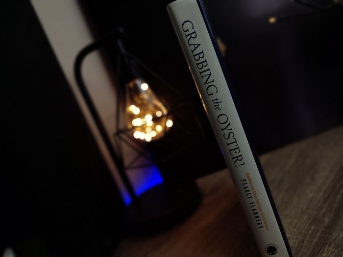 Grabbing the Oyster!: Anecdotes & Advice from Icons of Irish Business ! RRP 25 Euro ! Hardcover ! 2008 ! by Oak Tree Press !
