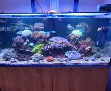 Marine Tank