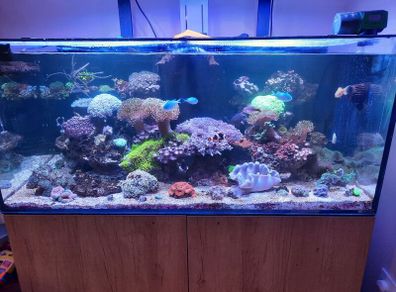 Marine Tank
