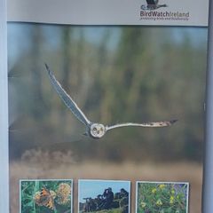 Birdwatch Ireland Pack