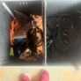 flightcase Image 4