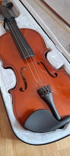 Beginner Violin and black case
