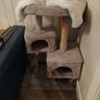 free cat tree Image 2