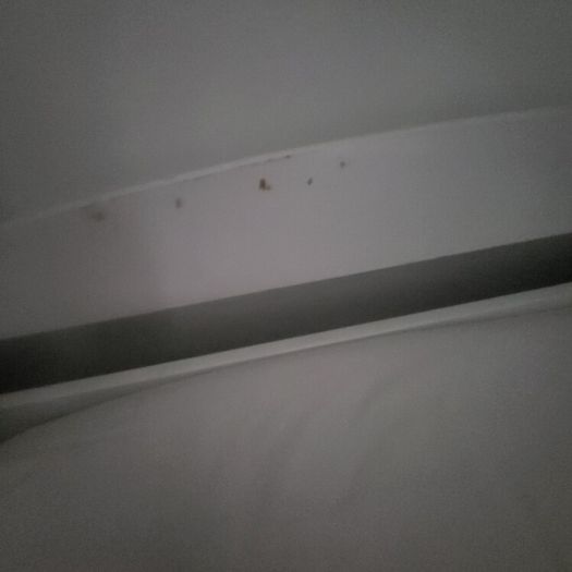 SIngle wood framed bed and mattress