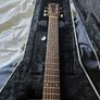 Acoustic Guitar (BSG J10F) Image 3