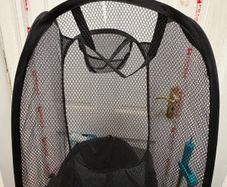Laundry basket
