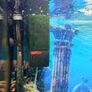 Juwel Vision 260 Aquarium Full Setup Image 5