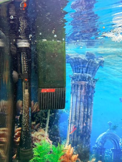 Juwel Vision 260 Aquarium Full Setup