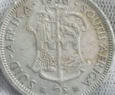 south Africa silver floirin