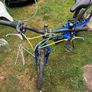 bike Image 5