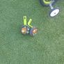 Marvin monkey and Halfords stabilisers kids x2 Image 2