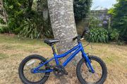 Kid's Bike 16" Ridgeback