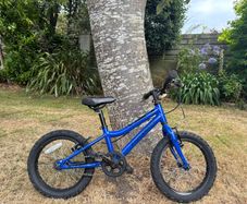 Kid's Bike 16" Ridgeback