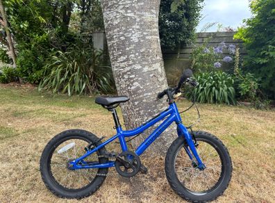 Kid's Bike 16" Ridgeback