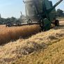 Combine 1177SII Image 5
