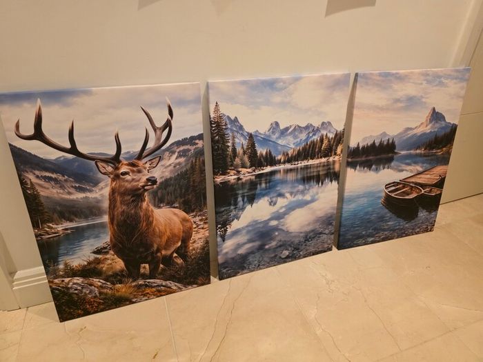 3 framed printed canvas 45x65cm