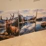 3 framed printed canvas 45x65cm Image 2