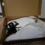 DC shoes Image 7