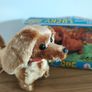 Lucky Dog 90's vintage toy dog barks, walks forward, shakes head, wags tale Image 2