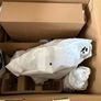 Shark Detect Pro Cordless Vacuum cleaner Image 2