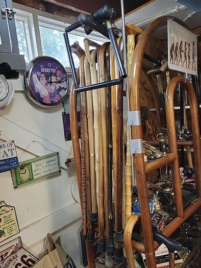 Walking stick