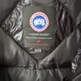canada goose Image 2