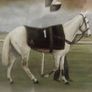 Des Snee Signed Limited Edition Print - "White Tornado" (Desert Orchid, 1989) - 73 x 65 cm Image 5