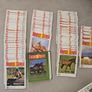 Horse Sense Magazine Collection (1980s) - Nearly Complete + Binder Image 6