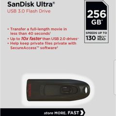 Sandisk 256gb USB Memory Sticks