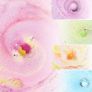 Bath Bombs Gift Set, TTRwin 12 Fizzy Bubble Bath Bath Bombs, Organic Natural Vegan Spa Bath Bomb Kit with Different Organic Essential Oils, Birthday Gift idea for Her, Girl , Men, Kids (FREE POSTAGE) Image 2