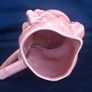 Toby Jug Image 6