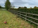 Garden Maintenance Image 3