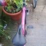 Power kids bike Image 2