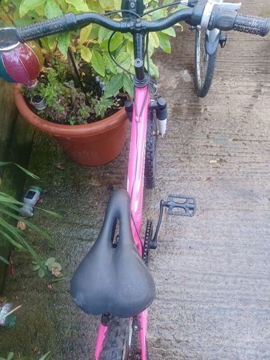Power kids bike