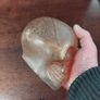 Glass Skull Image 3