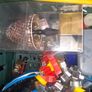Car boot Box lot of Items sold as a lot, Crate not included., More Lots Available in my other Items, Collection Only in Rochfortbridge Westmeath Image 2