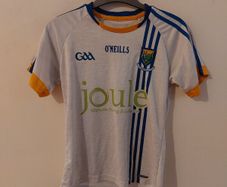 wicklow gaa jersey
