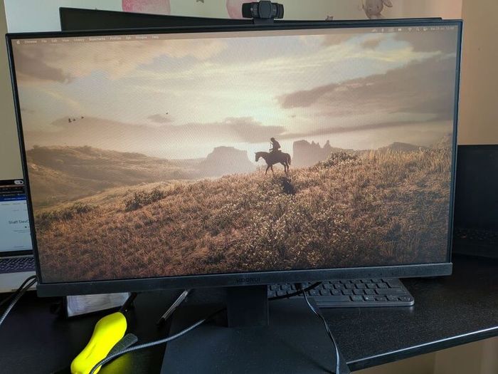 Monitor
